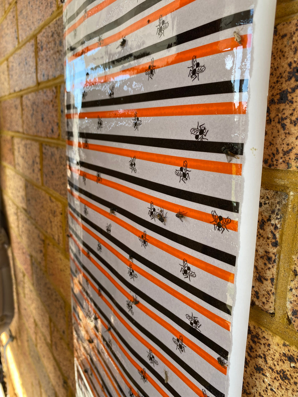 Fly Catcher Roll (7m)