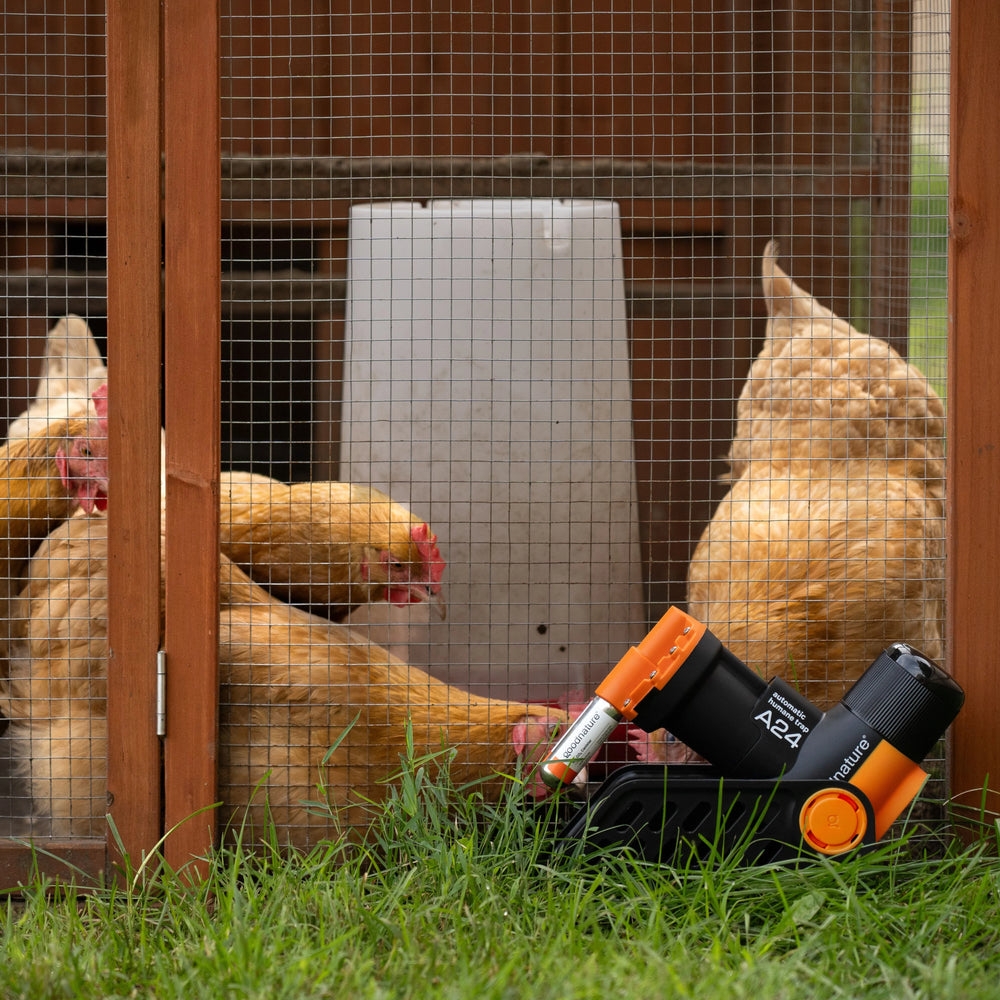 A24 Smart Trap installed by a chicken coop with Smart Cap tracking device
