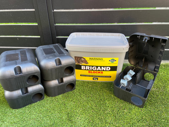 Brigand 8kg & Raptor Bait Station Combo
