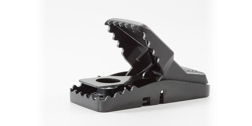 T-rex Mini
