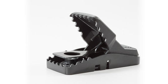 T-rex Mini