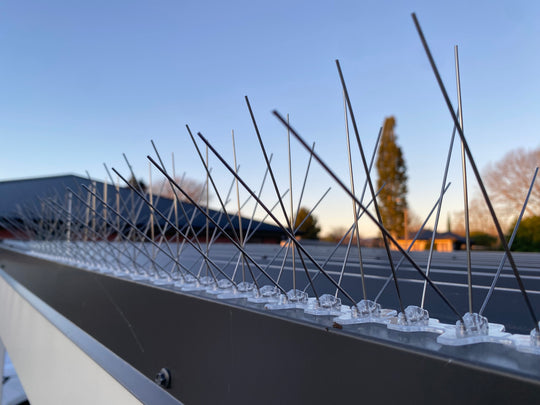 Bird-Spikes-5 Prong