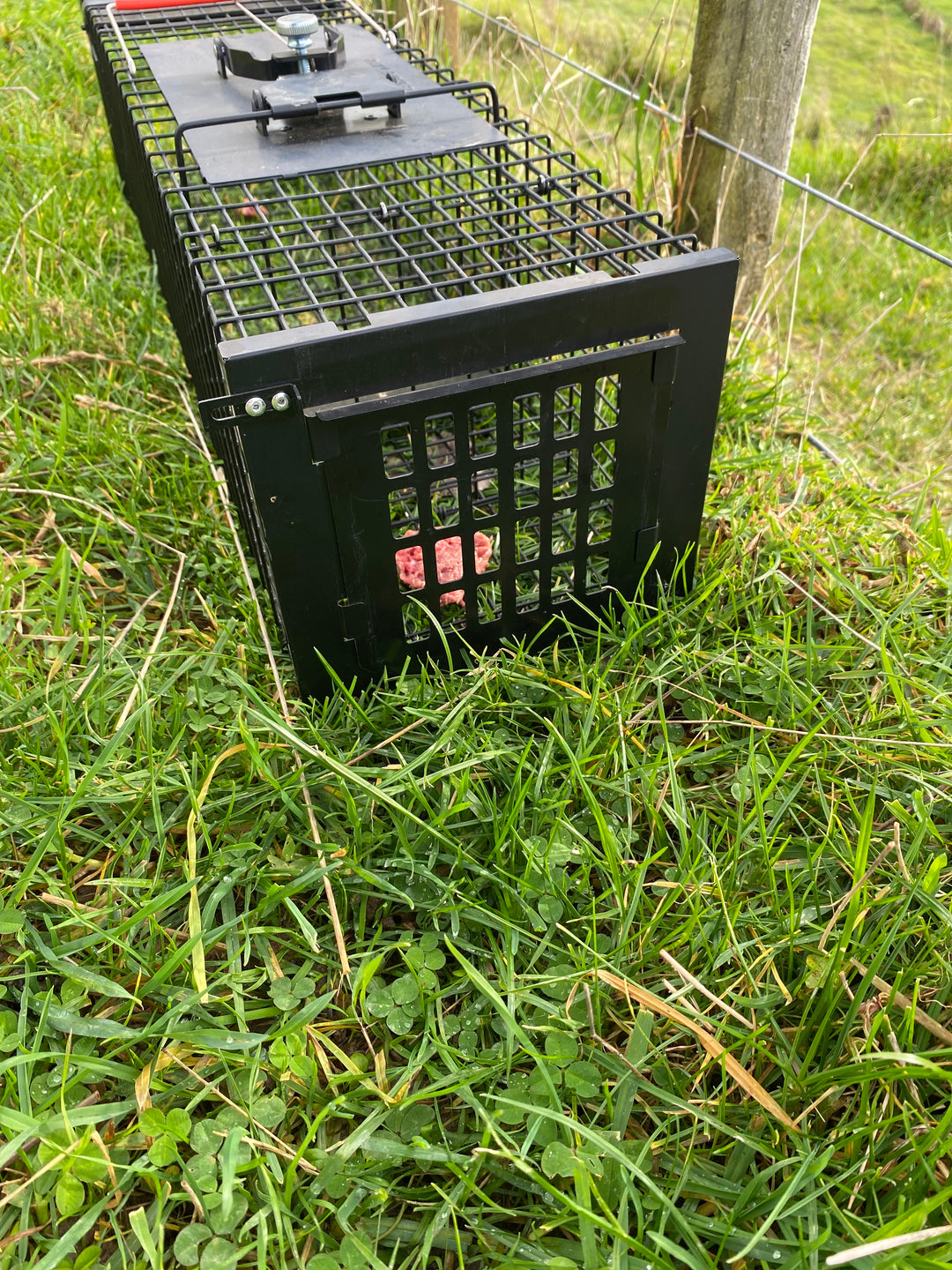 Adda Raptor Traps Raptor Mustelid Cage Trap | Secure Live Capture | Viking Pest NZ