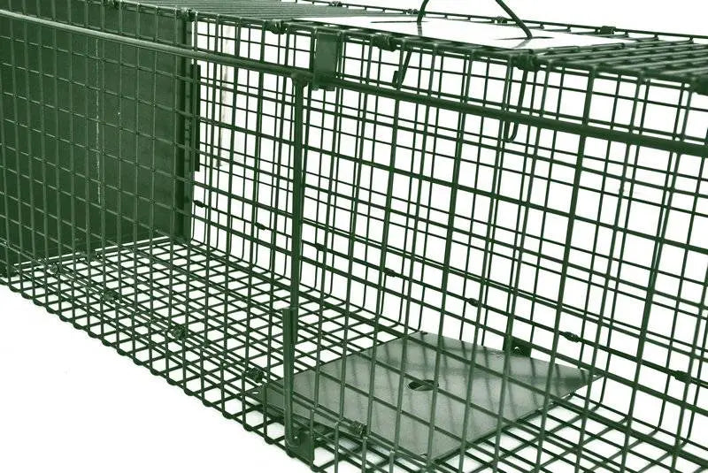Collapsible-Cage-for-Cats-Possums-Rabbits-pest-control