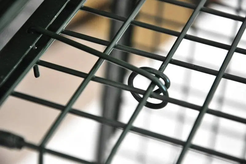 Versatile pest control cage for possums, cats, and small animals