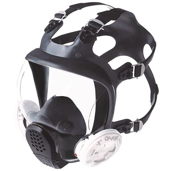 FS01 Full Face Mask