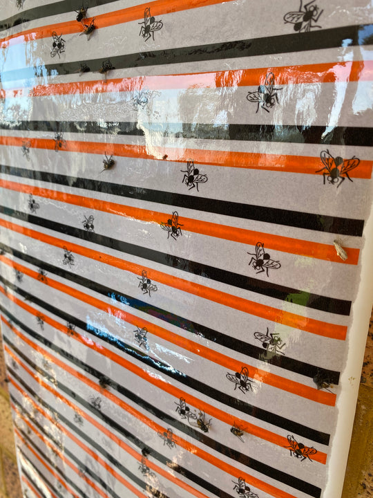 Fly Catcher Roll (7m)