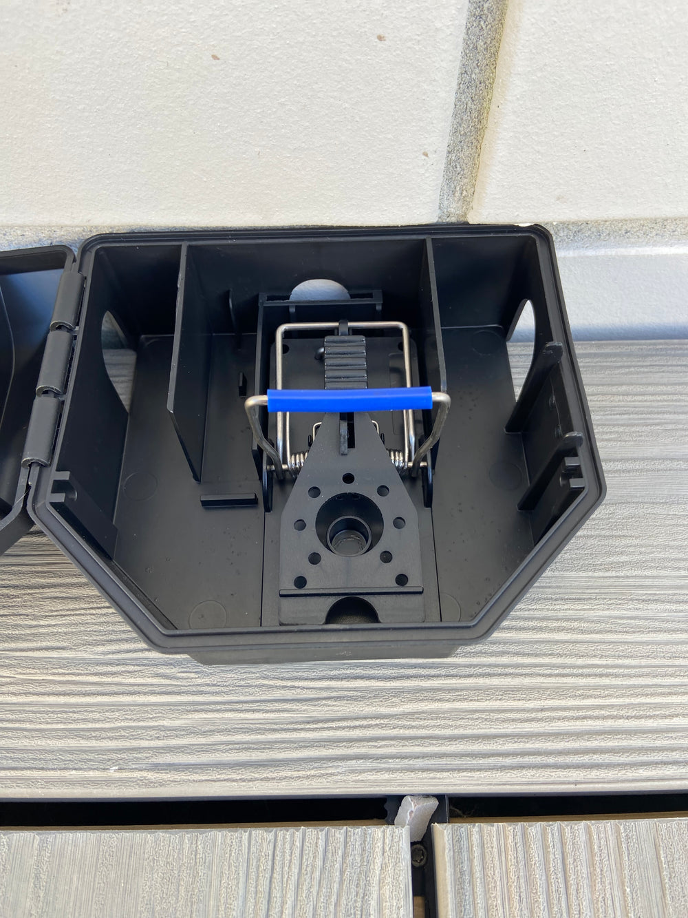 Snap Mouse Station & Snap Trap