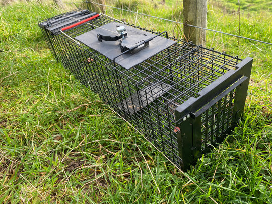 Raptor Mustelid Cage Trap 