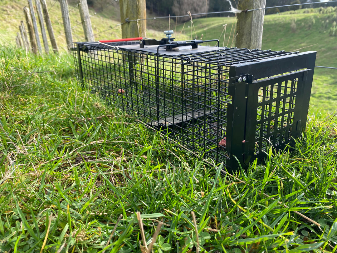 Bc Raptor Trap Dome Raptor Mustelid Cage Trap | Secure Live Capture | Viking Pest NZ
