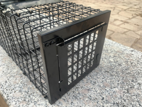 Raptor Mustelid Cage Trap - mouse traps