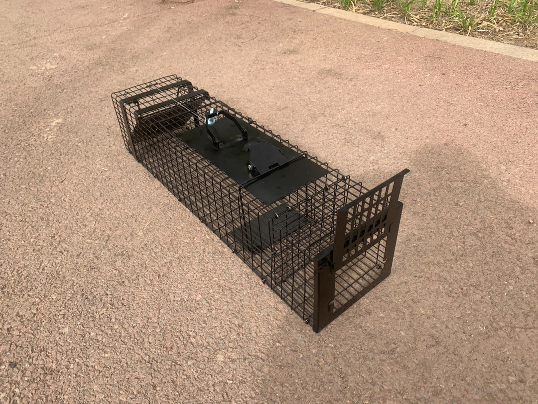 Raptor - Mustelid Cage Trap - traps for rat