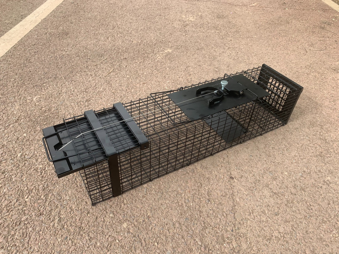 Raptor - Mustelid Cage Trap - traps for rat