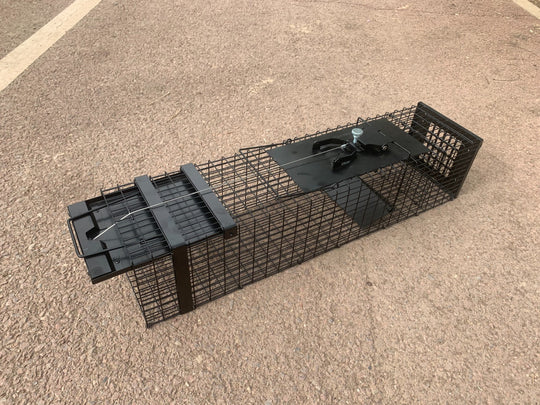 Raptor - Mustelid Cage Trap - traps for rat