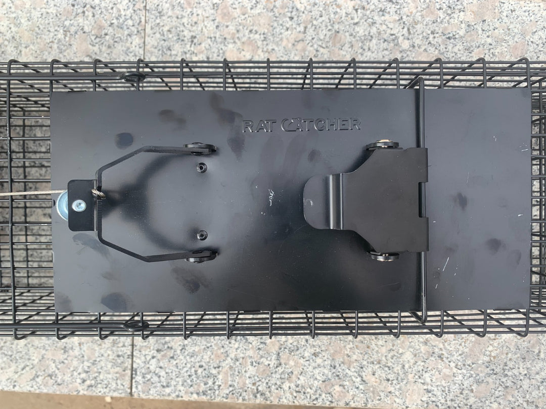 Raptor Mustelid Cage Trap - mouse catcher trap