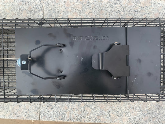 Raptor Mustelid Cage Trap - mouse catcher trap