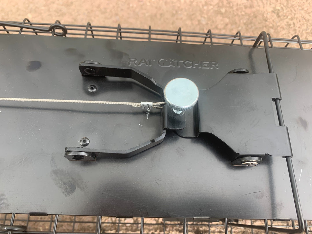 Rat Trap Riding Raptor Raptor Mustelid Cage Trap | Secure Live Capture | Viking Pest NZ