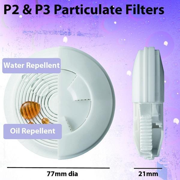 Reusable P2 Particulate Filter (P2R)