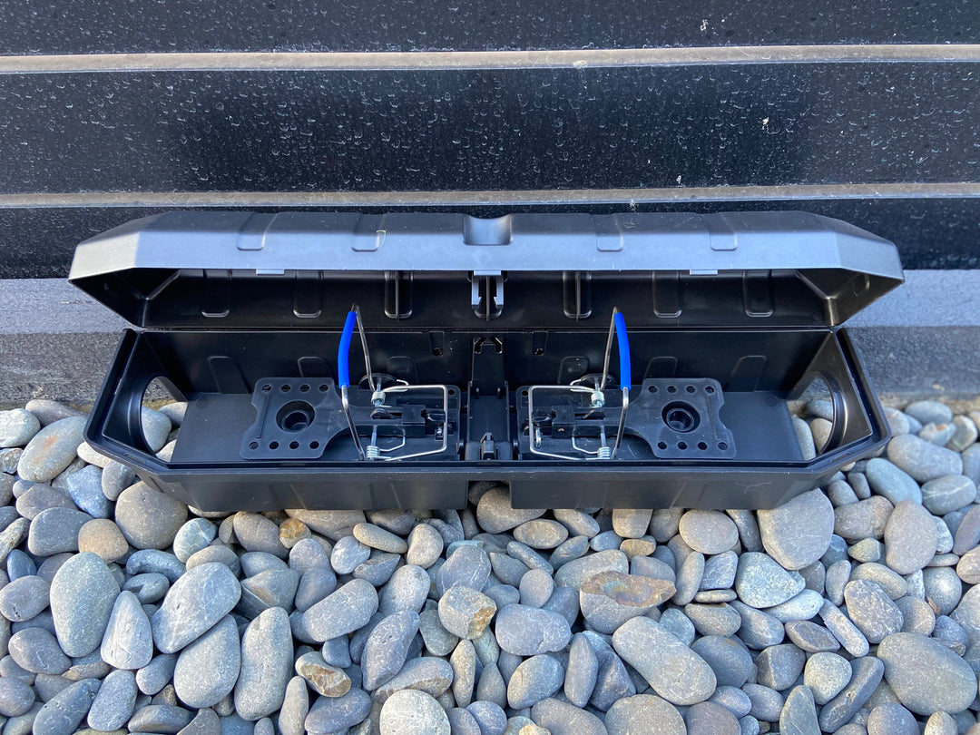 Raptor - Rat Trap