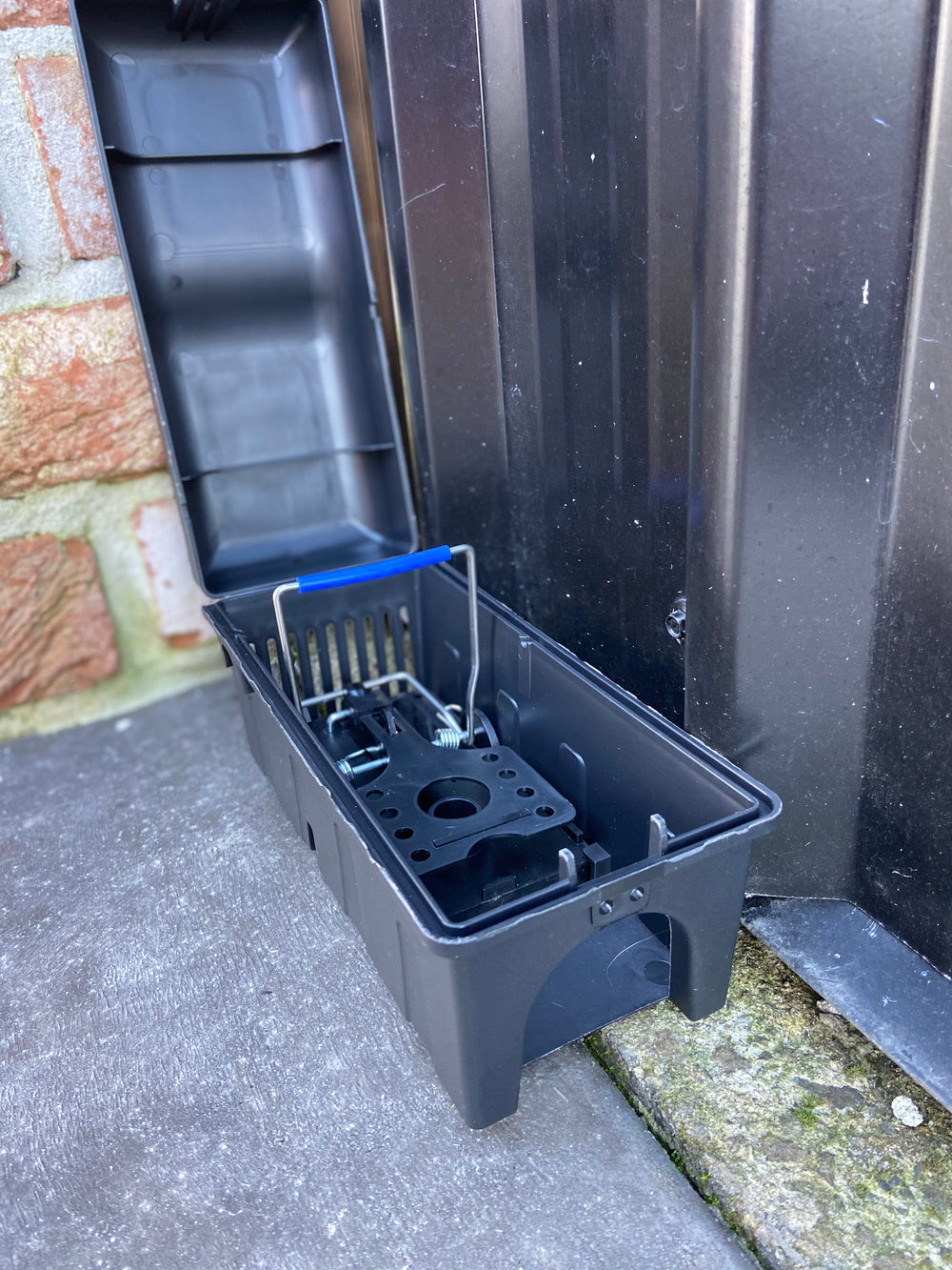 Solo Rat Station
